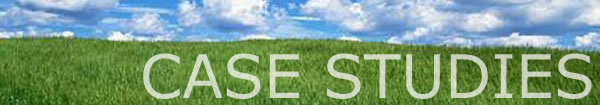 Case Studies